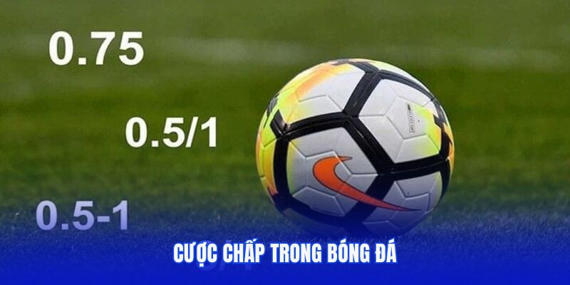 Cược chấp trong bóng đá