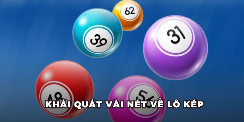Khái quát vài nét về lô kép