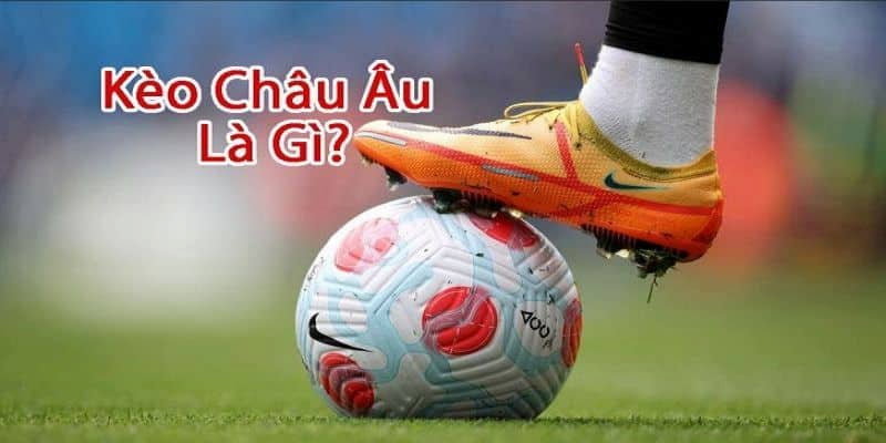 Giới thiệu về kèo châu âu