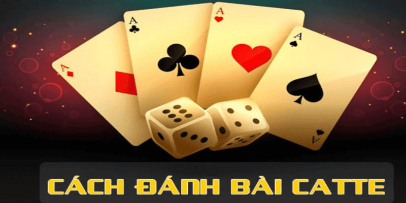 Luật lệ game bài catte không hề khó