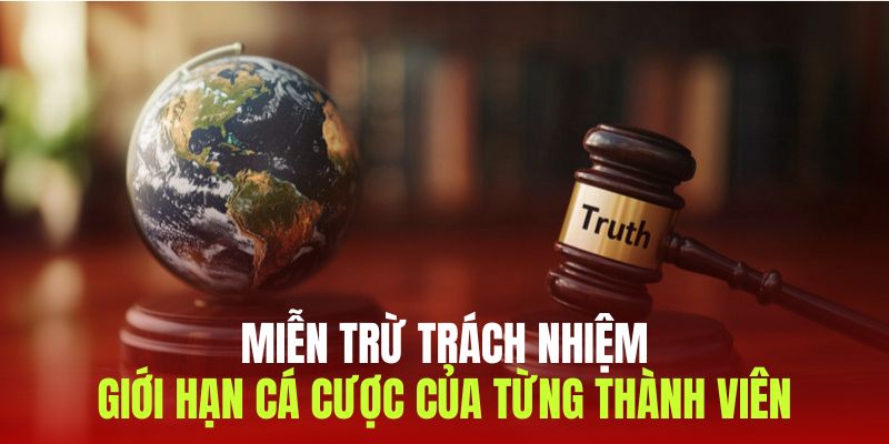 Đôi nét về quy định miễn trừ trách nhiệm tại website năm 2025